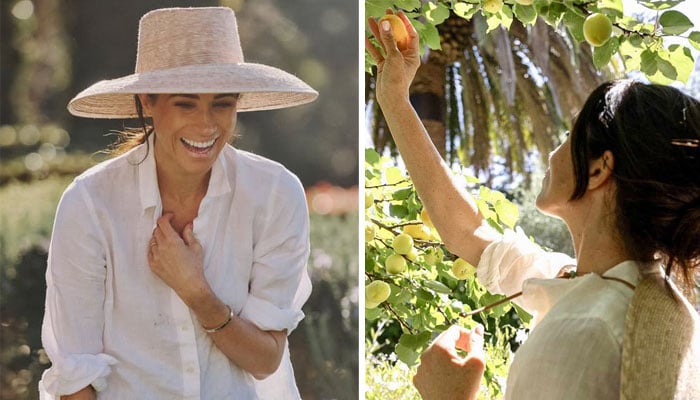 Meghan Markle is under fire for ‘lying’ about her products in ‘As Ever’