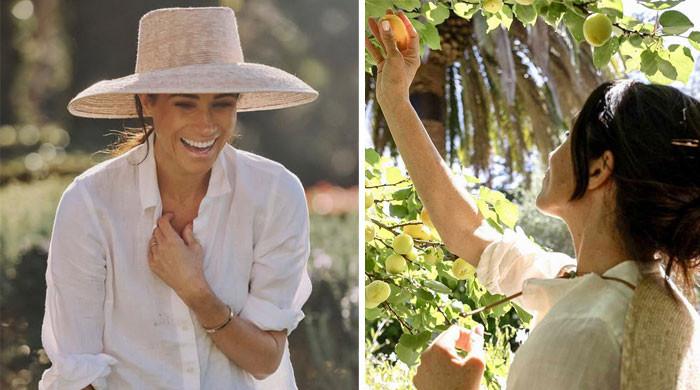 Meghan Markle's lies about ‘As Ever' brand get her exposed