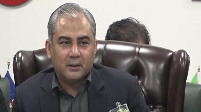 PM Shehbaz played key role in Iran-Israel ceasefire: interior minister