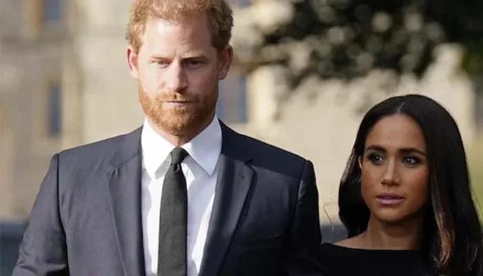 Meghan Markle love for Prince Harry simplified to ulterior motives