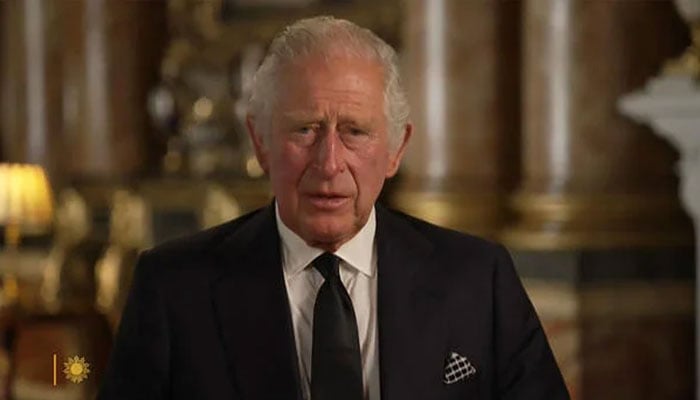 King Charles’ assets, finances and income gets branded ‘criminal’