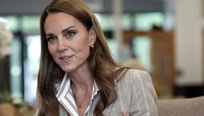 Kate Middleton gets showered in praise for her continued support of British businesses