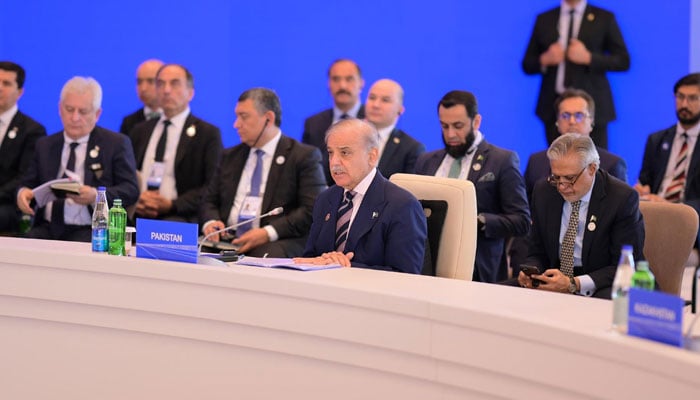 PM Shehbaz Sharif addresses 17th ECO Summit in Khankendi, Azerbaijan on July 4, 2025.  — PID