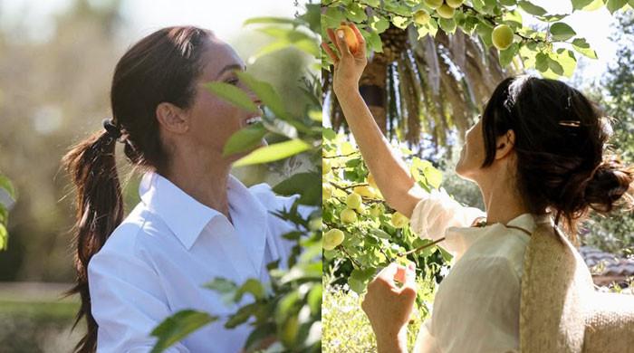 Meghan Markle praised for making THIS savy move before rosé launch