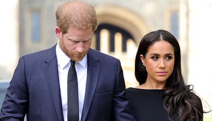 Prince Harry ignored 'warning signs' from family over Meghan Markle