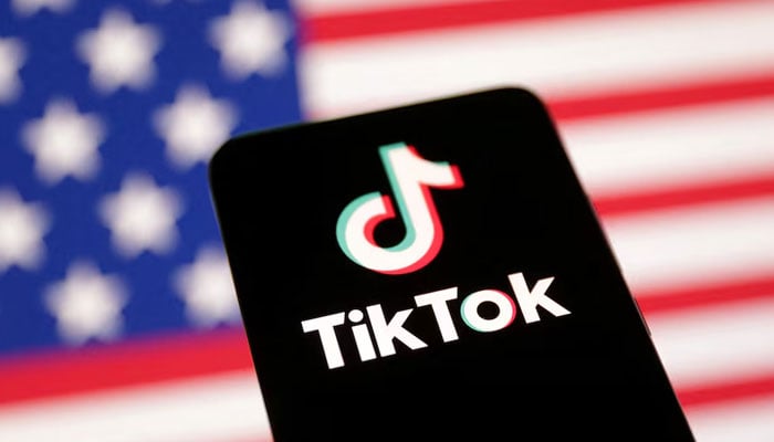 US flag and TikTok logo are seen in this illustration taken January 8, 2025. — Reuters