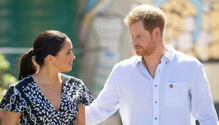 Prince Harry, Meghan Markle rely on product sales as Netflix seeks payback