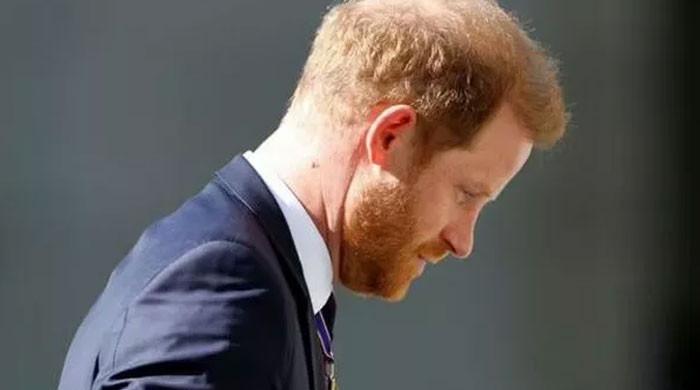 Prince Harry ‘horror' act threw dirt on her life's work while family was on his deathbed'