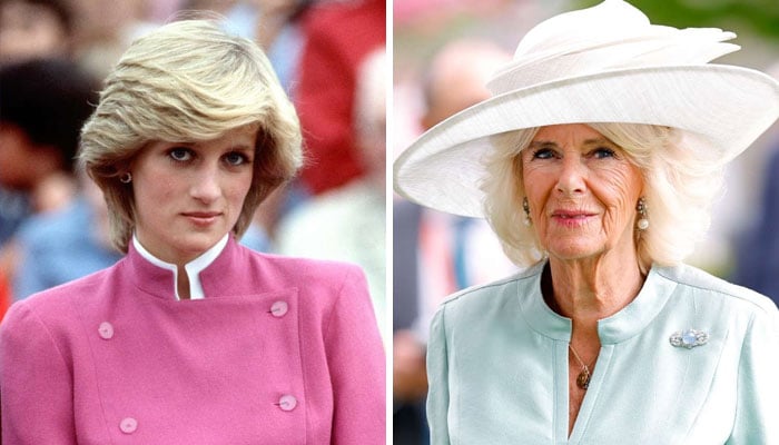 Princess Diana’s friend suffers huge blow due to Queen Camilla