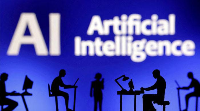 Pakistan's invisible AI workforce