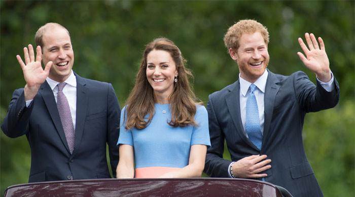 Prince Harry, Kate Middleton secret meeting plans quietly shelved due to William