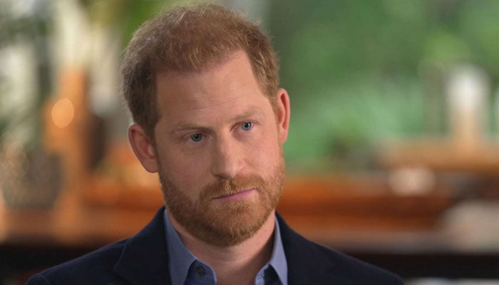 Prince Harry ends up reduced to his shortcomings in life