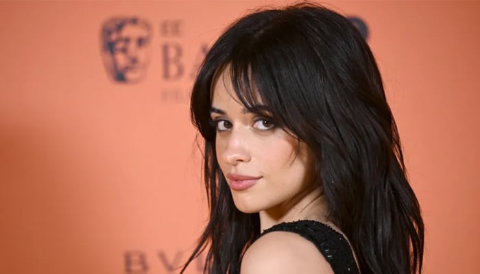 Camila Cabello rocks the Dublin stage with energetic show