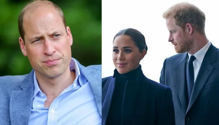 Prince William’s doubts about Meghan Markle’s true intentions now validated