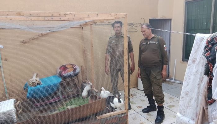 Punjab police at a house in Lahore where animals were being tortured and killed. — Instagram/@jfkanimalrescueandshelter