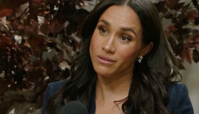 Meghan Markle has attempted to hijack the thing Prince Harry loves most away from him