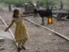Pakistan's poverty conundrum