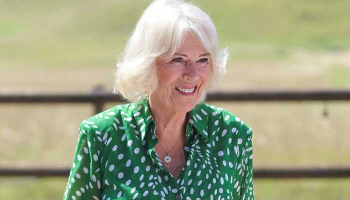 Moment Queen Camilla was exposed to visual image of Prince Archie
