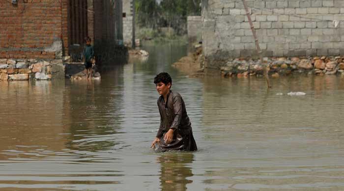 Climate hypocrisy Climate hypocrisy