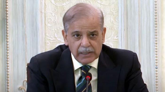 PM Shehbaz vows structural reforms to steer Pakistan towards economic revival