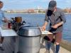 Moveable feast: Danish chef serves up gastronomic journey by bike