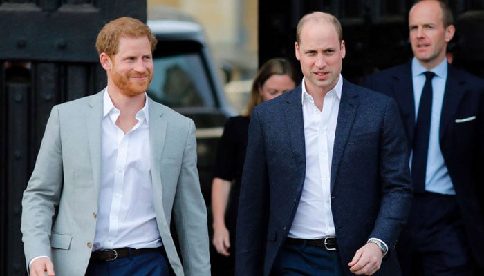 Prince William shocks royal fans with decision on Prince Harry