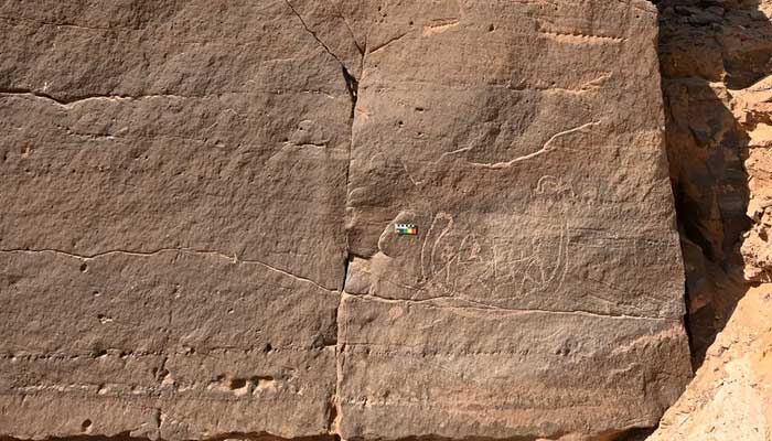 The rock art panel shows a boat dragged by five figures. It has a standing figure holding an oar and the head and right shoulder of a seated figure inside the boats inner structure, possibly a cabin. — Dorian Vanhulle/File