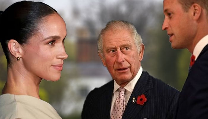 Meghan Markle, Prince Harry using peace talk to divide King Charles away from William?