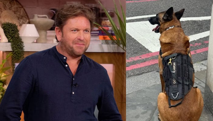 James Martin brings dog for protection after his car was vandalized in London