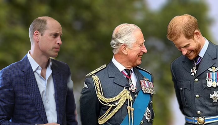 Prince Harry crafting sick King Charles’ isolation from Prince William