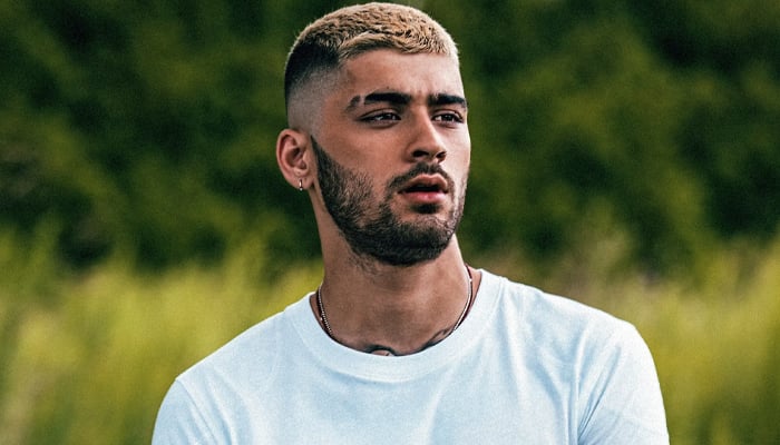 Zayn Maliks brother-in-law sentenced to prison