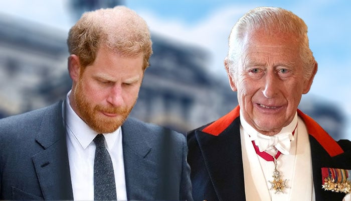 Identify of Prince Harry peace talks leaker: Expert weighs in