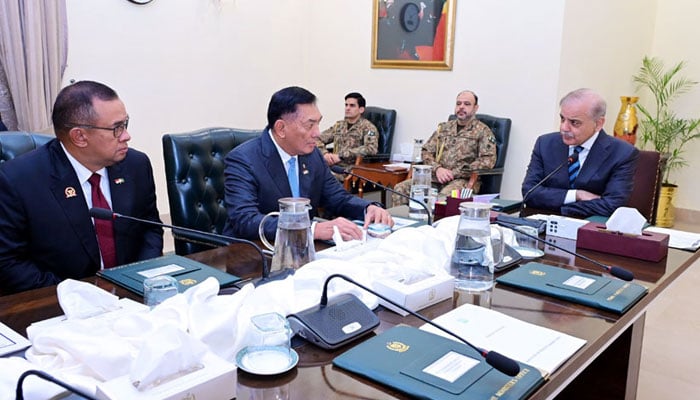 Prime Minister Shehbaz Sharif meets with Indonesia’s Defence Minister Lt Gen (retd) Sjafrie Sjamsoeddin. — X/@GovtofPakistan