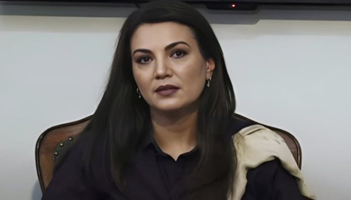 Reham Khan, the former wife of Pakistan Tehreek-e-Insaf (PTI) founder Imran Khan, addresses a press conference at Karachi Press Club on July 15, 2025. — YouTube