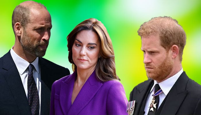 Prince William, Kate Middleton’s reasons for avoiding Prince Harry peace talks comes out