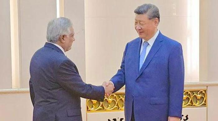 FM Dar meets 'iron-clad brother' President Xi as SCO leaders converge in Beijing