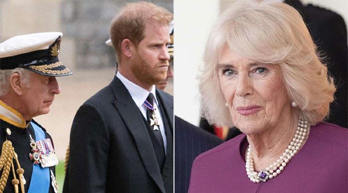 Queen Camilla releases statement after King Charles, Prince Harry's aides meet