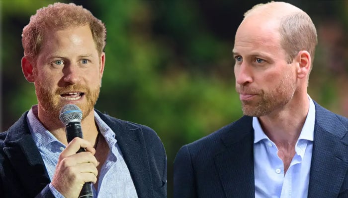 Prince Harry’s trauma over Prince William ‘privilege’ comes to light