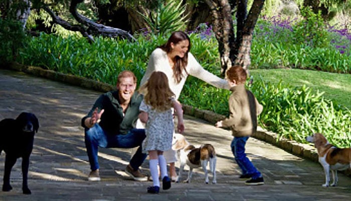 Prince Harry, Meghan Markle are causing alarm bells to ring