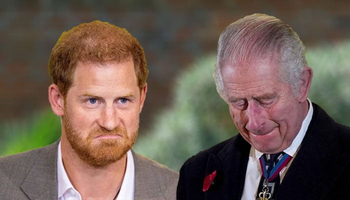 Prince Harry’s Sussex Court ‘green with envy’
