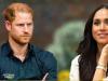 Prince Harry turns into Meghan Markle's livestock manager