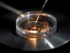 Three-person IVF technique spared children from inherited diseases, say scientists