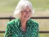 Queen Camilla's photo signals split between Buckingham and Kensington Palace?