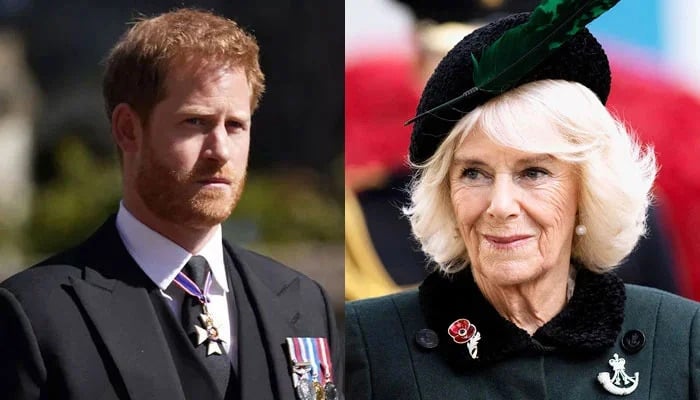 Prince Harry deeply upset by step mom Queen Camilla move