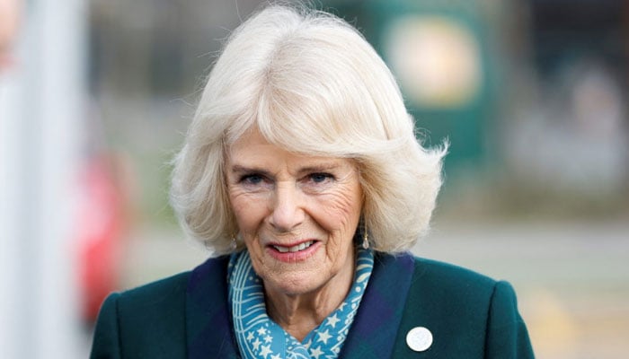 Queen Camilla dubbed ‘very good thing’ for monarchy