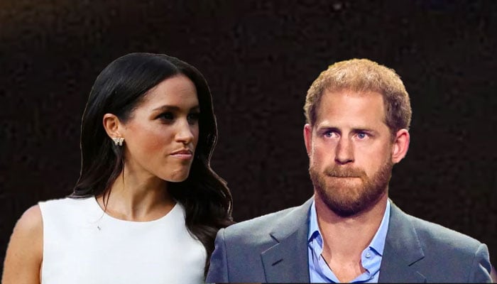 Prince Harry’s motivations called out