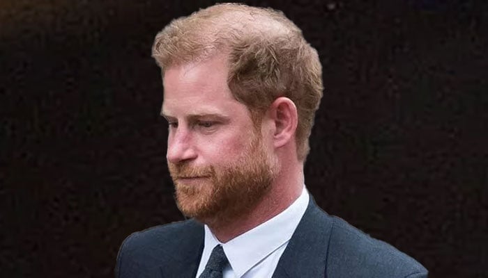 Prince Harrys intentions spark backtalk
