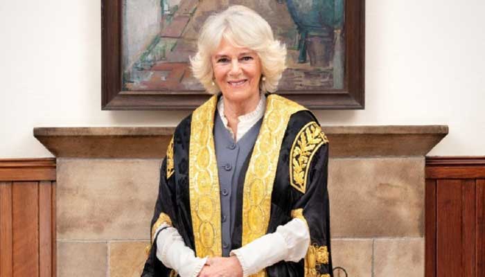 Queen Camilla mocked over education, termination from job