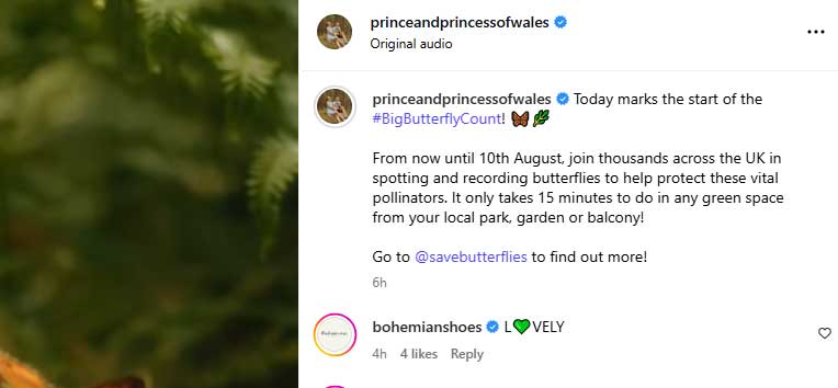 Brand tries to catch Kate Middletons eye after new powers