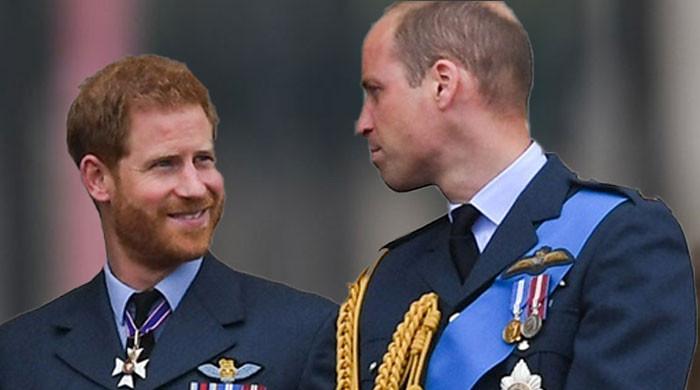 Prince William issued urgent verdict about his ‘dynasty' else it ‘won't survive'